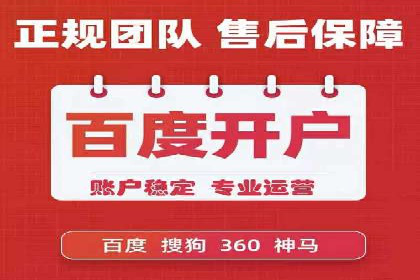 行业标杆的SEM竞价营销案例研究